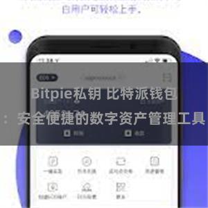 Bitpie私钥 比特派钱包：安全便捷的数字资产管理工具