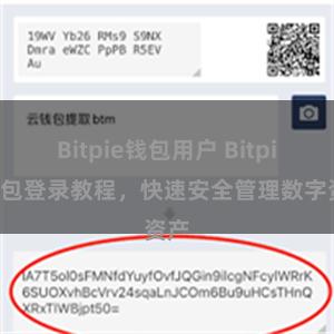 Bitpie钱包用户 Bitpie钱包登录教程，快速安全管理数字资产