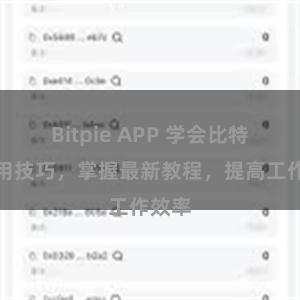 Bitpie APP 学会比特派应用技巧，掌握最新教程，提高工作效率