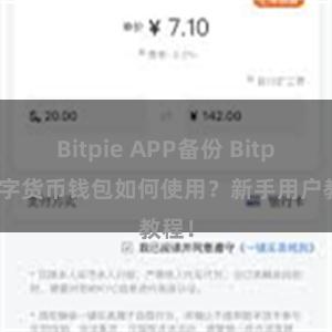 Bitpie APP备份 Bitpie数字货币钱包如何使用？新手用户教程！
