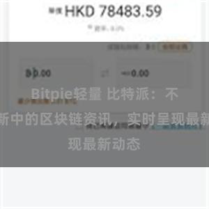 Bitpie轻量 比特派：不断更新中的区块链资讯，实时呈现最新动态
