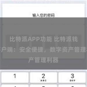 比特派APP功能 比特派钱包客户端：安全便捷，数字资产管理利器