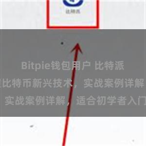 Bitpie钱包用户 比特派教程：快速掌握比特币新兴技术，实战案例详解，适合初学者入门。