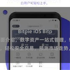 Bitpie iOS Bitpie APP功能全面介绍，数字资产一站式管理，轻松安全交易，预测市场走势，实时行情数据。