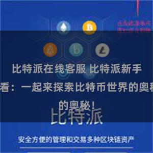 比特派在线客服 比特派新手必看：一起来探索比特币世界的奥秘！