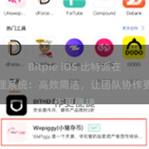 Bitpie iOS 比特派在线管理系统：高效简洁，让团队协作更便捷