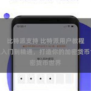 比特派支持 比特派用户教程：从入门到精通，打造你的加密货币世界