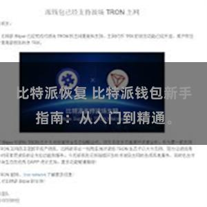 比特派恢复 比特派钱包新手指南：从入门到精通。