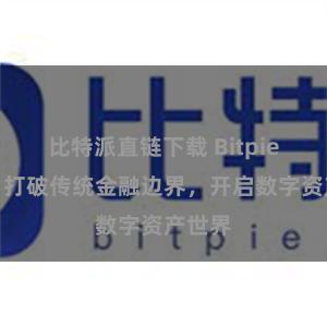 比特派直链下载 Bitpie网络:打破传统金融边界,开启数字资产世界