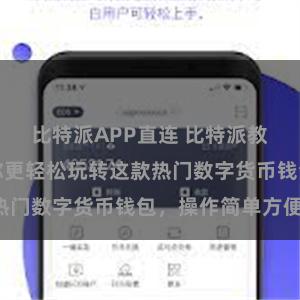 比特派APP直连 比特派教程下载：让你更轻松玩转这款热门数字货币钱包，操作简单方便！