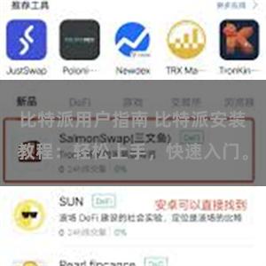 比特派用户指南 比特派安装教程：轻松上手，快速入门。