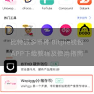比特派多币种 Bitpie钱包APP下载教程及使用指南