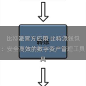 比特派官方应用 比特派钱包：安全高效的数字资产管理工具