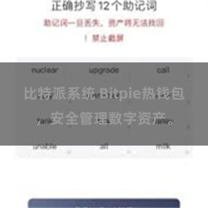 比特派系统 Bitpie热钱包，安全管理数字资产。