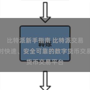 比特派新手指南 比特派交易：实时快速、安全可靠的数字货币交易平台