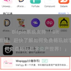 Bitpie系统支持 「Bitpie免费使用教程，赶快了解如何免费畅玩数字资产世界！」