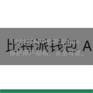 比特派APP官网 Bitpie保护用户隐私，安全可靠。
