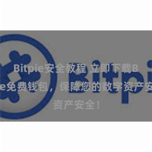 Bitpie安全教程 立即下载Bitpie免费钱包，保障您的数字资产安全！
