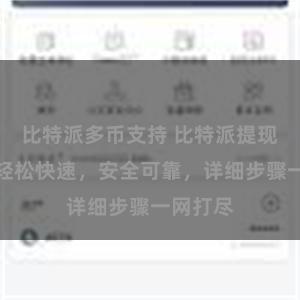 比特派多币支持 比特派提现教程：轻松快速，安全可靠，详细步骤一网打尽