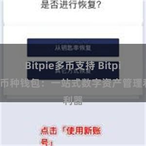 Bitpie多币支持 Bitpie多币种钱包：一站式数字资产管理利器