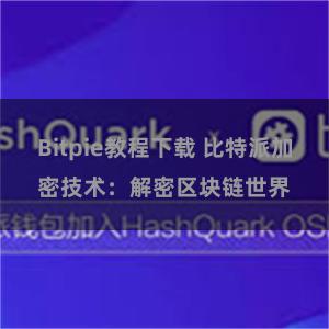 Bitpie教程下载 比特派加密技术：解密区块链世界