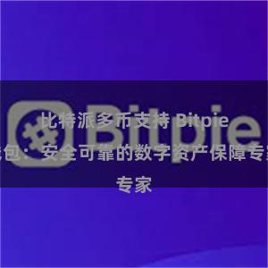 比特派多币支持 Bitpie钱包：安全可靠的数字资产保障专家