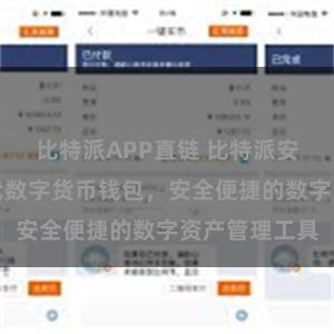 比特派APP直链 比特派安卓版：新一代数字货币钱包，安全便捷的数字资产管理工具