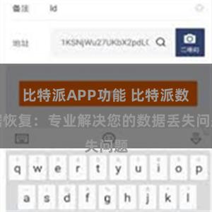 比特派APP功能 比特派数据恢复：专业解决您的数据丢失问题