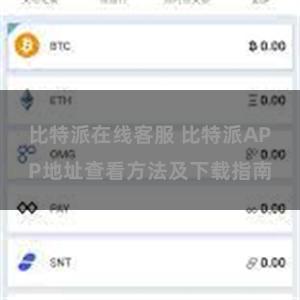 比特派在线客服 比特派APP地址查看方法及下载指南