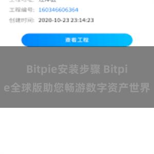 Bitpie安装步骤 Bitpie全球版助您畅游数字资产世界