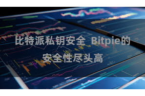 比特派私钥安全 Bitpie的安全性尽头高