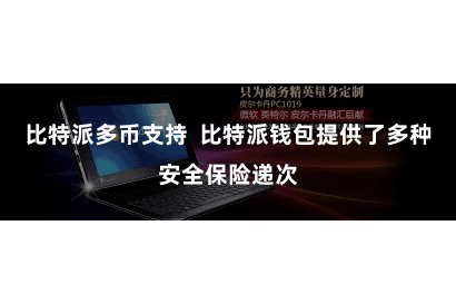 比特派多币支持  比特派钱包提供了多种安全保险递次