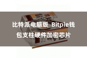 比特派电脑版  Bitpie钱包支柱硬件加密芯片